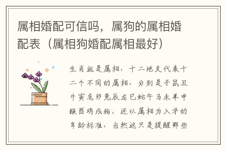 属相婚配可信吗，属狗的属相婚配表（属相狗婚配属相最好）