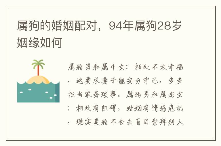 属狗的婚姻配对，94年属狗28岁姻缘如何