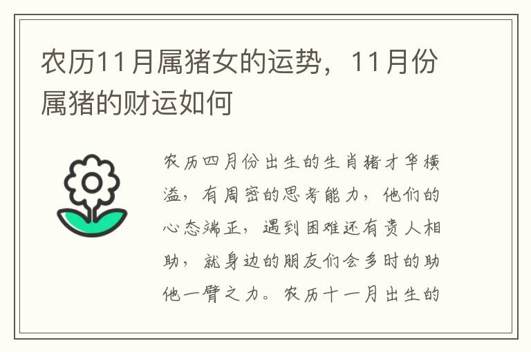 农历11月属猪女的运势，11月份属猪的财运如何