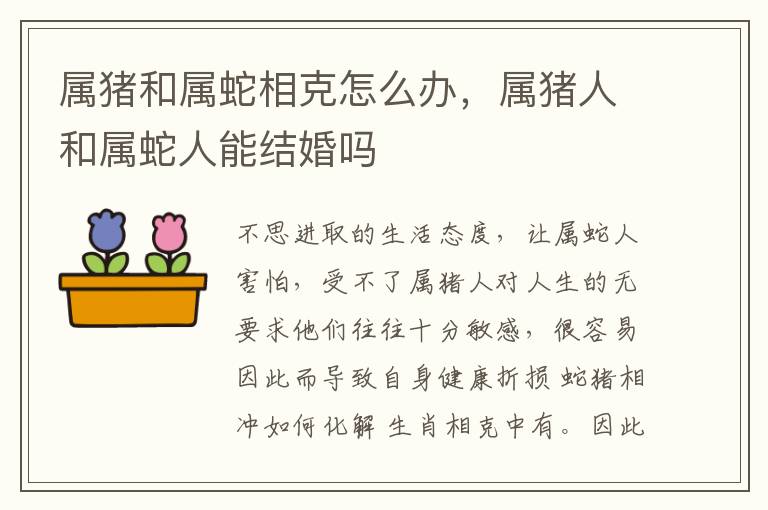 属猪和属蛇相克怎么办，属猪人和属蛇人能结婚吗