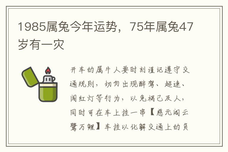 1985属兔今年运势，75年属兔47岁有一灾