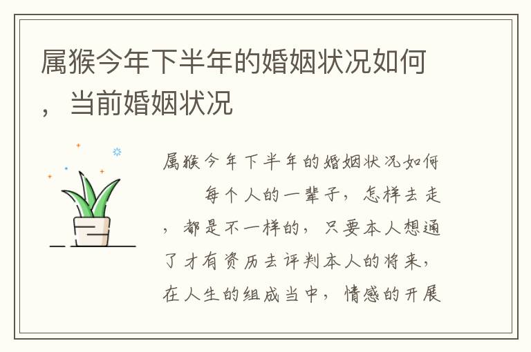 属猴今年下半年的婚姻状况如何，当前婚姻状况