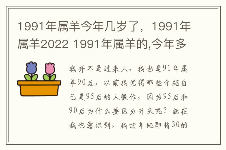 1991年属羊今年几岁了，1991年属羊2022 1991年属羊的,今年多大了