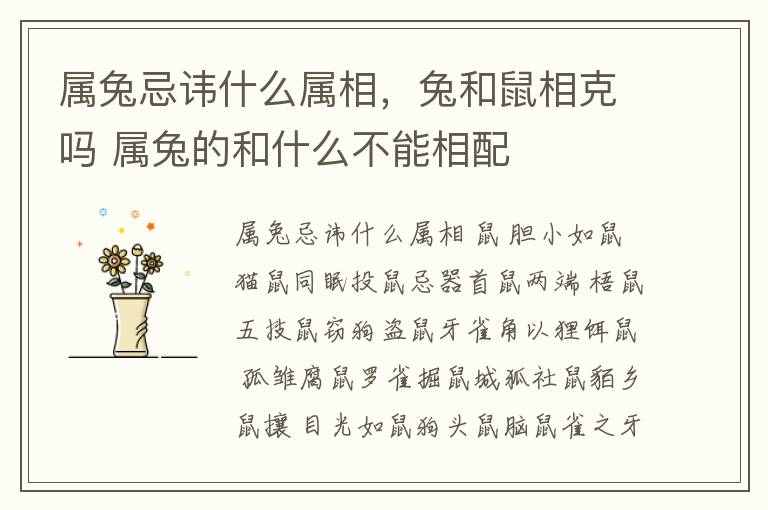 属兔忌讳什么属相，兔和鼠相克吗 属兔的和什么不能相配