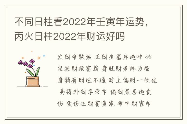 不同日柱看2022年壬寅年运势，丙火日柱2022年财运好吗