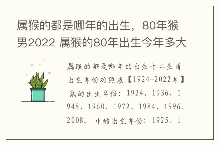 属猴的都是哪年的出生，80年猴男2022 属猴的80年出生今年多大