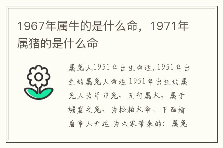 1967年属牛的是什么命，1971年属猪的是什么命