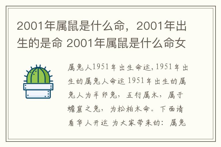 2001年属鼠是什么命，2001年出生的是命 2001年属鼠是什么命女