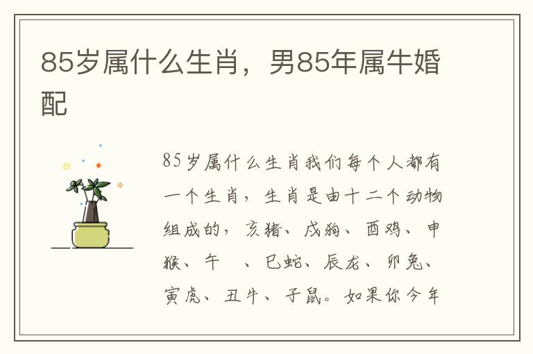 85岁属什么生肖，男85年属牛婚配