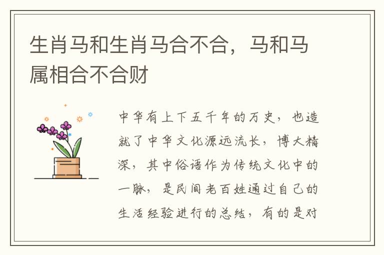 生肖马和生肖马合不合，马和马属相合不合财