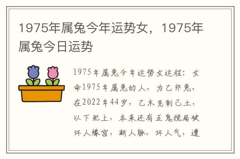 1975年属兔今年运势女，1975年属兔今日运势