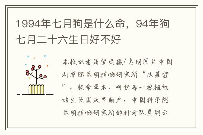 1994年七月狗是什么命，94年狗七月二十六生日好不好