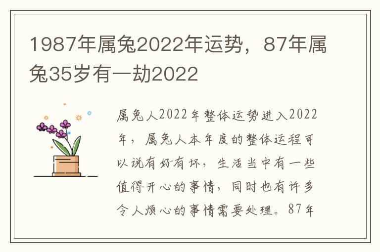 1987年属兔2022年运势，87年属兔35岁有一劫2022