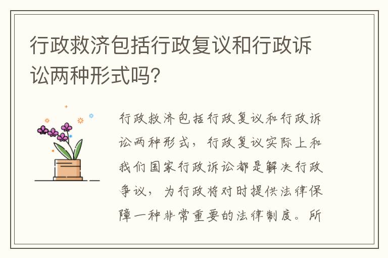 行政救济包括行政复议和行政诉讼两种形式吗？