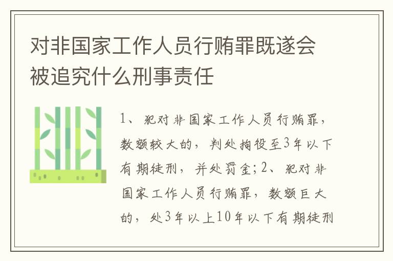 对非国家工作人员行贿罪既遂会被追究什么刑事责任