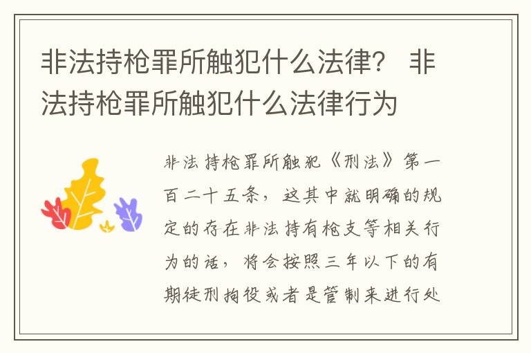 非法持枪罪所触犯什么法律？ 非法持枪罪所触犯什么法律行为