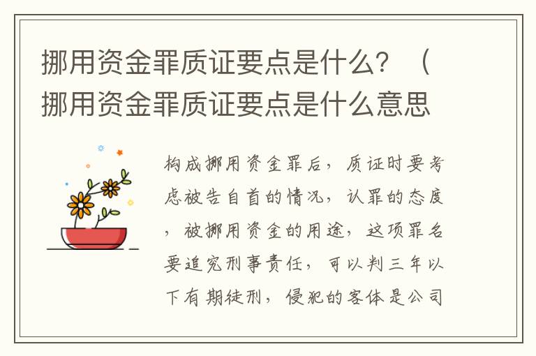 挪用资金罪质证要点是什么？（挪用资金罪质证要点是什么意思）