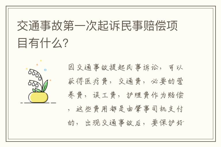 交通事故第一次起诉民事赔偿项目有什么？