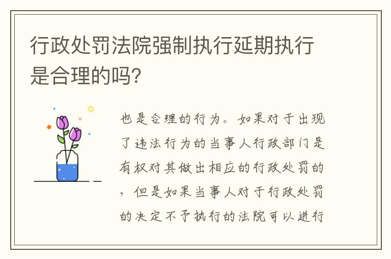 行政处罚法院强制执行延期执行是合理的吗？