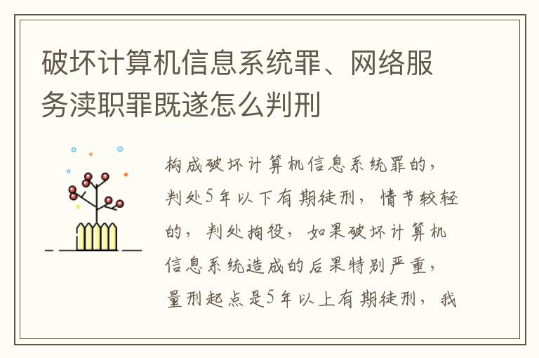 破坏计算机信息系统罪、网络服务渎职罪既遂怎么判刑