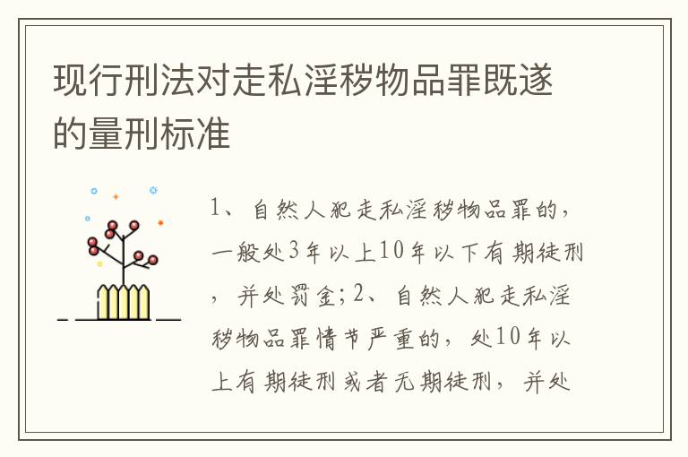 现行刑法对走私淫秽物品罪既遂的量刑标准