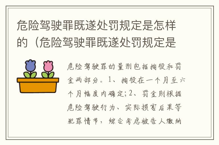 危险驾驶罪既遂处罚规定是怎样的（危险驾驶罪既遂处罚规定是怎样的呢）