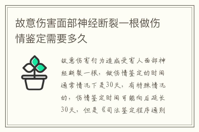 故意伤害面部神经断裂一根做伤情鉴定需要多久