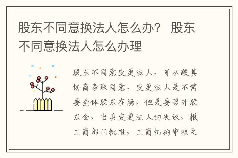 股东不同意换法人怎么办？ 股东不同意换法人怎么办理