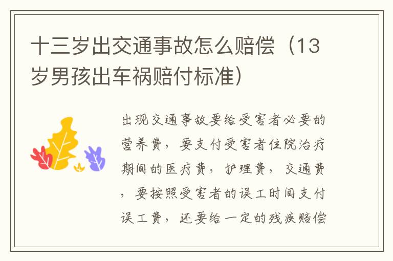 十三岁出交通事故怎么赔偿（13岁男孩出车祸赔付标准）