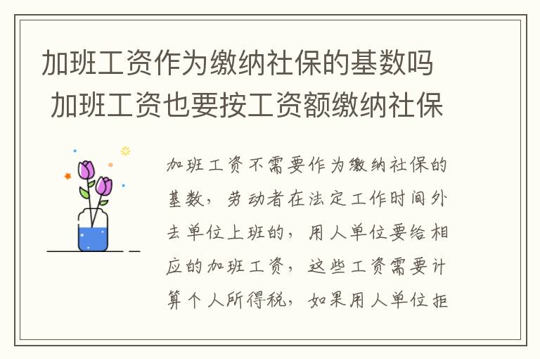 加班工资作为缴纳社保的基数吗 加班工资也要按工资额缴纳社保吗