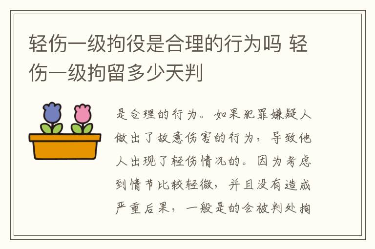 轻伤一级拘役是合理的行为吗 轻伤一级拘留多少天判