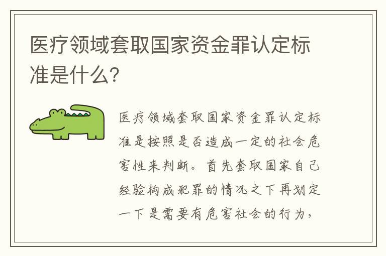 医疗领域套取国家资金罪认定标准是什么？