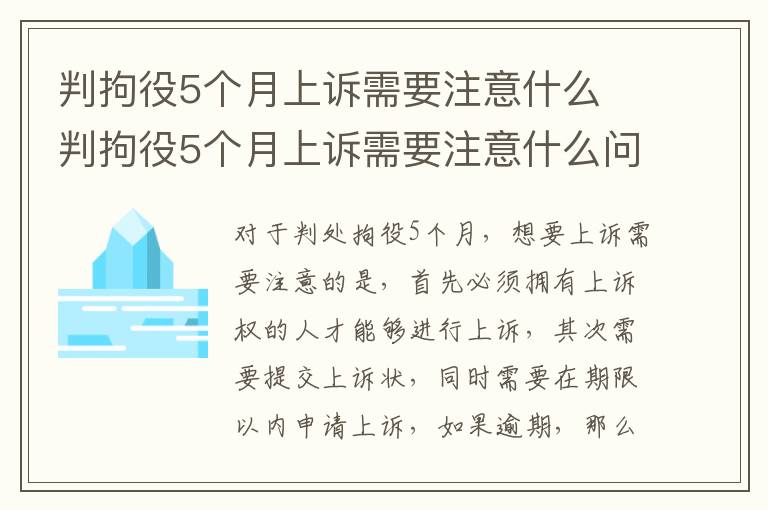 判拘役5个月上诉需要注意什么 判拘役5个月上诉需要注意什么问题