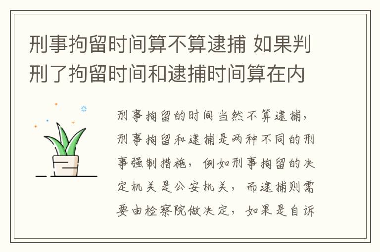 刑事拘留时间算不算逮捕 如果判刑了拘留时间和逮捕时间算在内吗