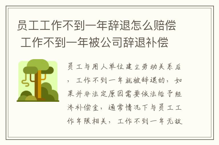 员工工作不到一年辞退怎么赔偿 工作不到一年被公司辞退补偿