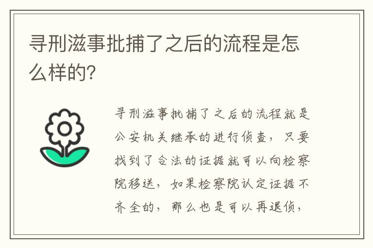 寻刑滋事批捕了之后的流程是怎么样的？