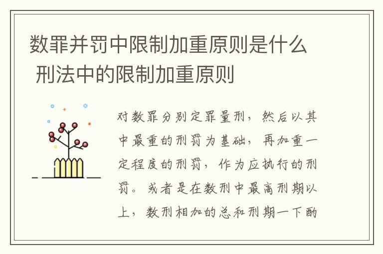 数罪并罚中限制加重原则是什么 刑法中的限制加重原则