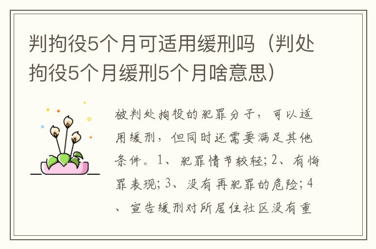 判拘役5个月可适用缓刑吗（判处拘役5个月缓刑5个月啥意思）