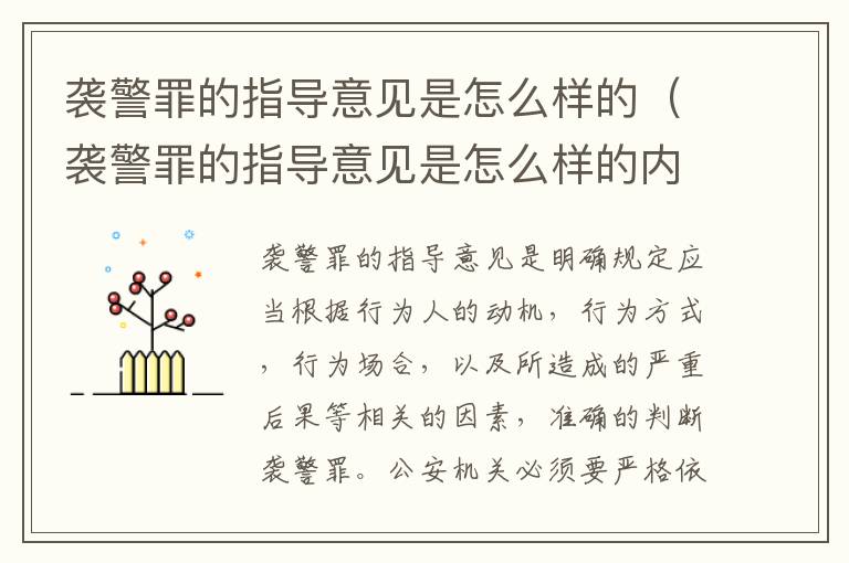 袭警罪的指导意见是怎么样的（袭警罪的指导意见是怎么样的内容）