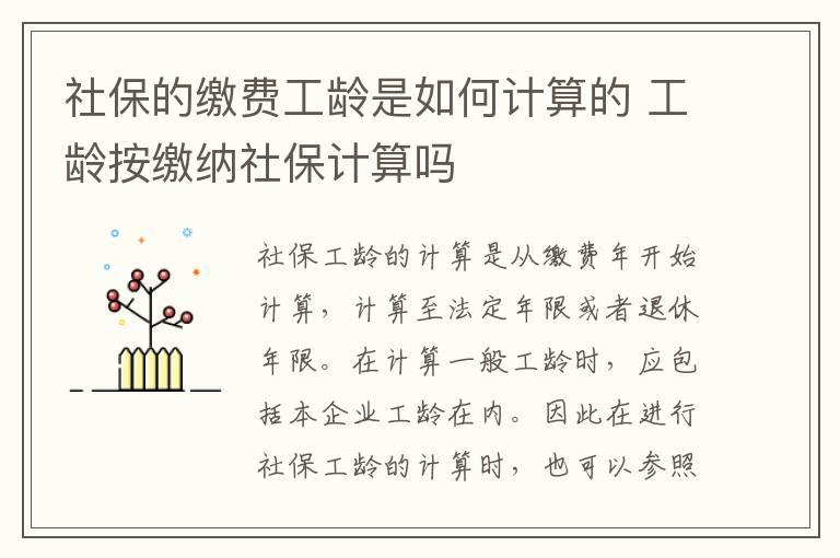 社保的缴费工龄是如何计算的 工龄按缴纳社保计算吗