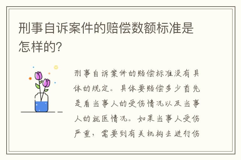 刑事自诉案件的赔偿数额标准是怎样的？