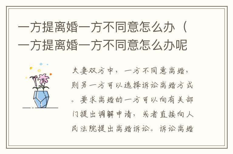 一方提离婚一方不同意怎么办（一方提离婚一方不同意怎么办呢）