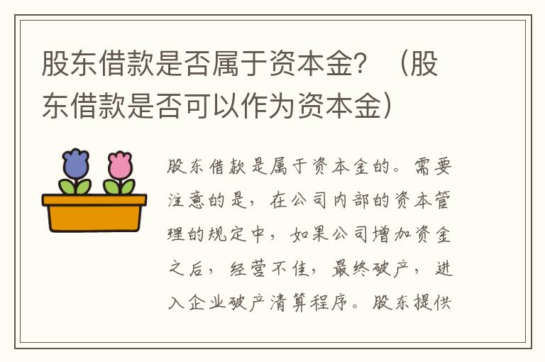 股东借款是否属于资本金？（股东借款是否可以作为资本金）