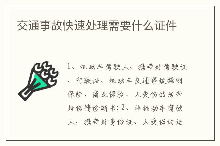 交通事故快速处理需要什么证件