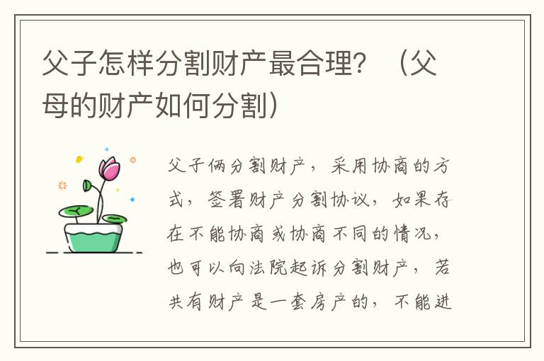 父子怎样分割财产最合理？（父母的财产如何分割）