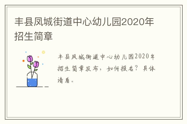 丰县凤城街道中心幼儿园2020年招生简章