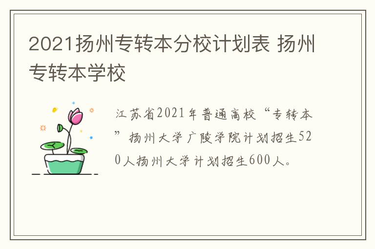 2021扬州专转本分校计划表 扬州专转本学校