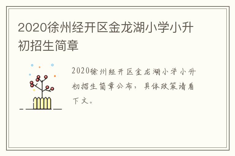 2020徐州经开区金龙湖小学小升初招生简章