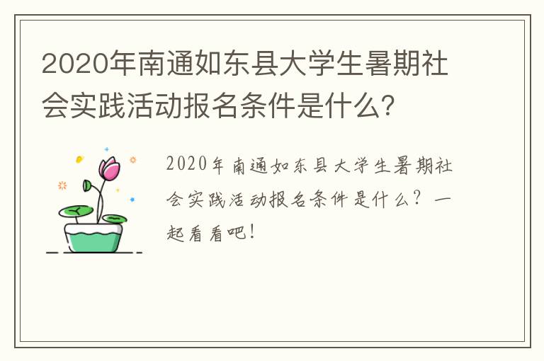 2020年南通如东县大学生暑期社会实践活动报名条件是什么？