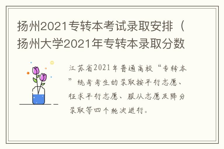 扬州2021专转本考试录取安排（扬州大学2021年专转本录取分数线）